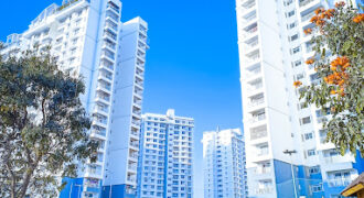 Purva Palm Beach