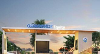 Concorde Equity- Plots