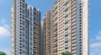 Vaswani Starlight