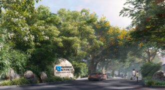 PROVIDENT BOTANICO